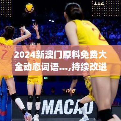 2024新澳門原料免費大全動態(tài)詞語…,持續(xù)改進策略_未來版FVK5.61
