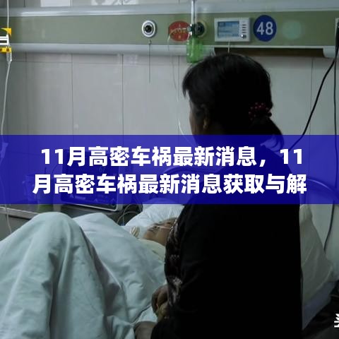 11月高密車禍最新消息解讀與獲取指南，適用于初學者與進階用戶