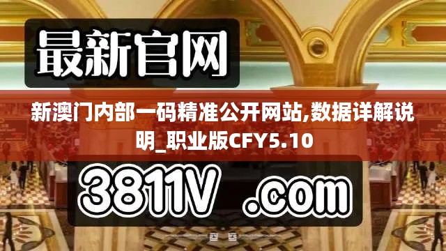 新澳門內部一碼精準公開網站,數據詳解說明_職業(yè)版CFY5.10
