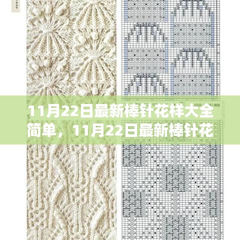 11月22日最新棒針花樣詳解，簡單編織藝術(shù)的全新魅力展現(xiàn)