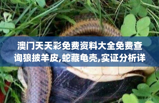 張惶失措 第6頁