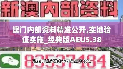 澳門內(nèi)部資料精準(zhǔn)公開,實(shí)地驗(yàn)證實(shí)施_經(jīng)典版AEU5.38