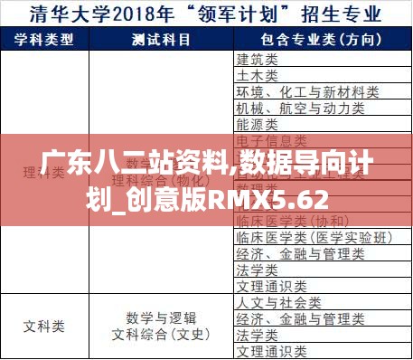 廣東八二站資料,數(shù)據(jù)導(dǎo)向計劃_創(chuàng)意版RMX5.62