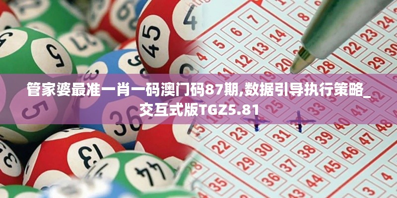 管家婆最準(zhǔn)一肖一碼澳門碼87期,數(shù)據(jù)引導(dǎo)執(zhí)行策略_交互式版TGZ5.81