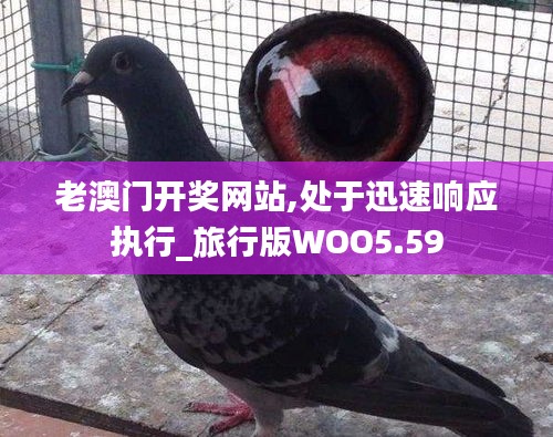 老澳門開獎(jiǎng)網(wǎng)站,處于迅速響應(yīng)執(zhí)行_旅行版WOO5.59