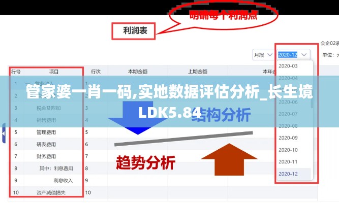 管家婆一肖一碼,實地數(shù)據(jù)評估分析_長生境LDK5.84