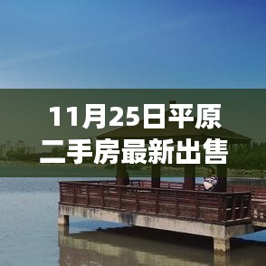 揭秘最新平原二手房市場，最新出售信息詳解（11月25日）