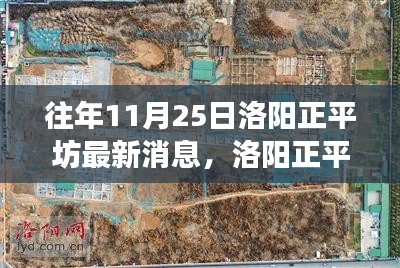 洛陽(yáng)正平坊鄰里聚會(huì)日，十一月暖陽(yáng)下的溫馨時(shí)光