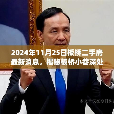 揭秘板橋二手房市場(chǎng)，小巷深處的寶藏與最新動(dòng)態(tài)（2024年11月板橋最新消息）