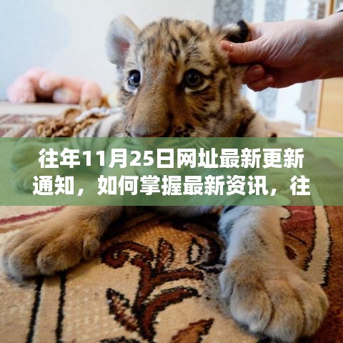 往年11月25日網(wǎng)址更新詳解，掌握最新資訊的方法與途徑解析