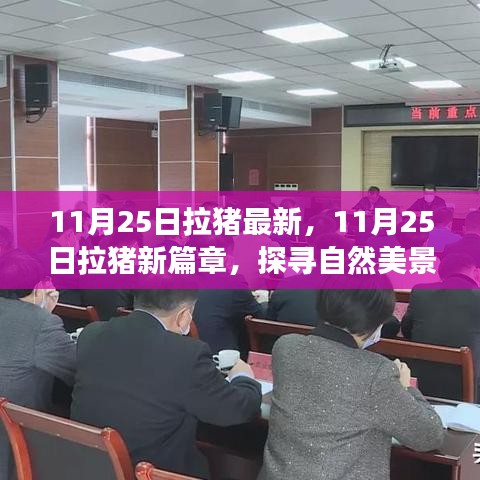 探尋自然美景之旅，11月25日拉豬新篇章，重拾內(nèi)心的寧?kù)o與平和