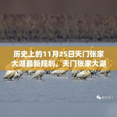 天門張家大湖新規(guī)劃啟航，變革的力量與自信的航道探索歷程