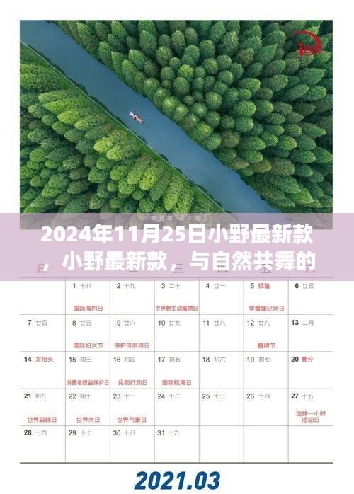 小野最新款，與自然共舞的日子啟程，尋找內(nèi)心的寧?kù)o與歡笑時(shí)光（2024年11月25日）
