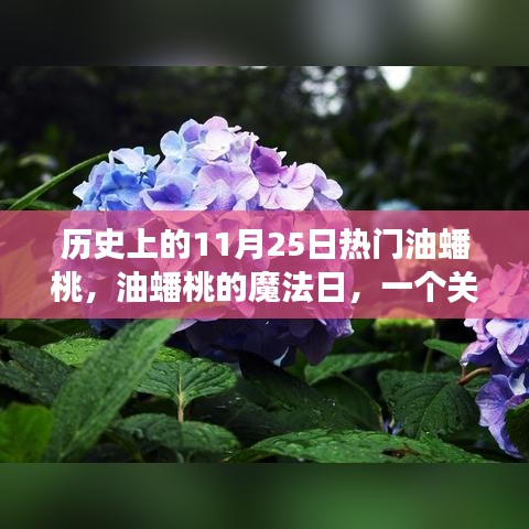 達官貴人 第6頁