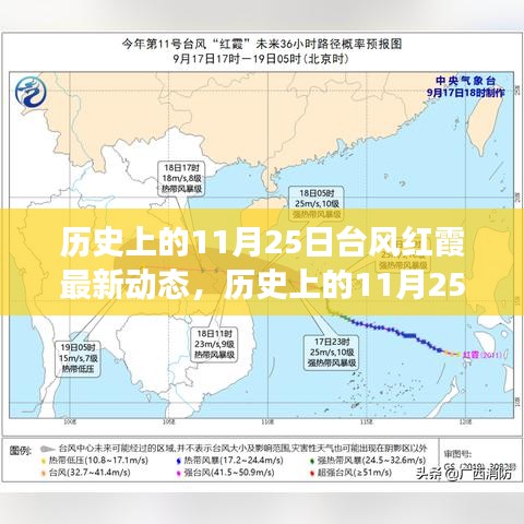 多維度視角下的審視與分析，歷史上的臺(tái)風(fēng)紅霞最新動(dòng)態(tài)揭秘