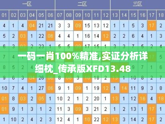 一碼一肖100%精準(zhǔn),實證分析詳細(xì)枕_傳承版XFD13.48