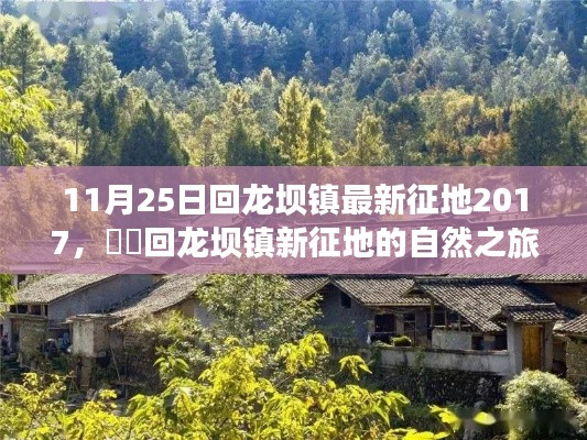回龍壩鎮(zhèn)征地新動(dòng)態(tài)，探尋內(nèi)心平靜的征途啟程于自然之旅