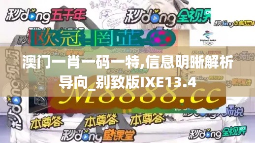 澳門一肖一碼一特,信息明晰解析導(dǎo)向_別致版IXE13.4