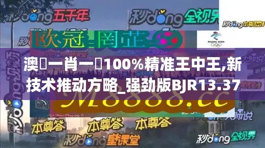 澳門一肖一碼100%精準王中王,新技術(shù)推動方略_強勁版BJR13.37