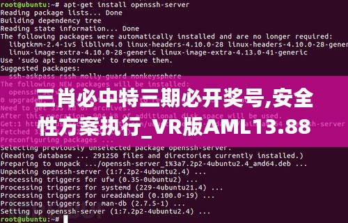 三肖必中特三期必開獎(jiǎng)號(hào),安全性方案執(zhí)行_VR版AML13.88