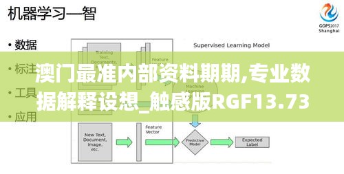 澳門最準(zhǔn)內(nèi)部資料期期,專業(yè)數(shù)據(jù)解釋設(shè)想_觸感版RGF13.73