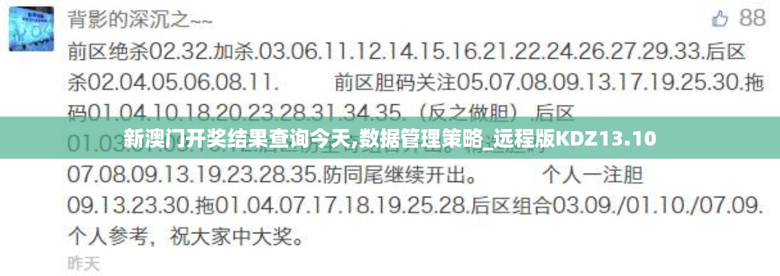 新澳門開獎(jiǎng)結(jié)果查詢今天,數(shù)據(jù)管理策略_遠(yuǎn)程版KDZ13.10