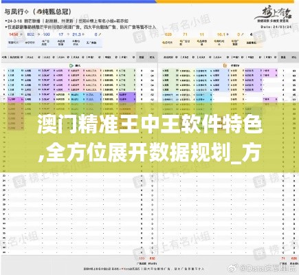 澳門精準(zhǔn)王中王軟件特色,全方位展開數(shù)據(jù)規(guī)劃_方案版FBJ13.19