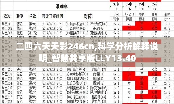 二四六天天彩246cn,科學(xué)分析解釋說(shuō)明_智慧共享版LLY13.40