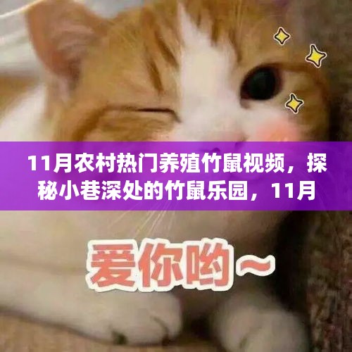 探秘農村竹鼠樂園，揭秘熱門養(yǎng)殖竹鼠視頻背后的故事