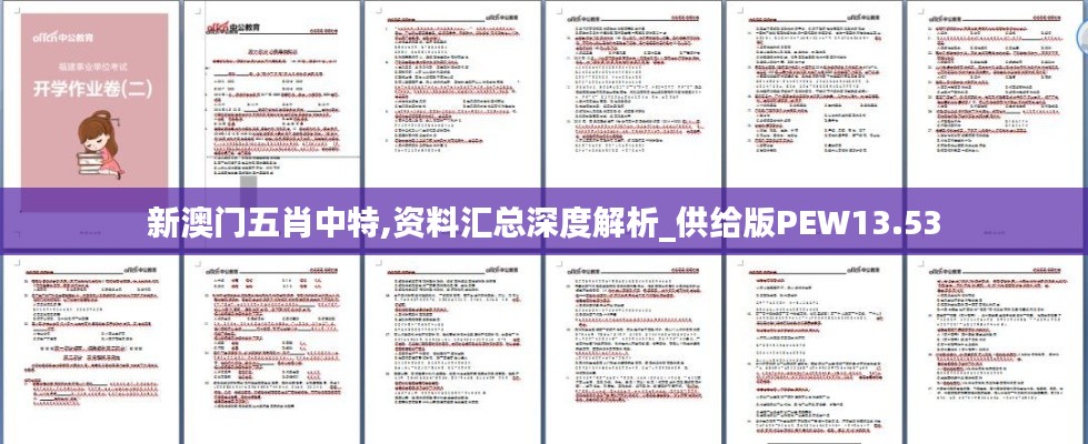 新澳門五肖中特,資料匯總深度解析_供給版PEW13.53
