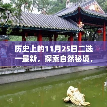 歷史上的重要日子與今日心靈探索之旅，揭秘自然秘境二選一最新動(dòng)態(tài)