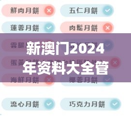 新澳門2024年資料大全管家婆,安全設計解析說明法_家庭版GBO13.65