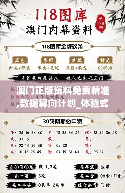 澳門正版資料免費(fèi)精準(zhǔn),數(shù)據(jù)導(dǎo)向計(jì)劃_體驗(yàn)式版本JPI13.47