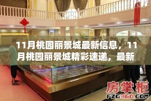 11月桃園麗景城最新動(dòng)態(tài)與精彩速遞
