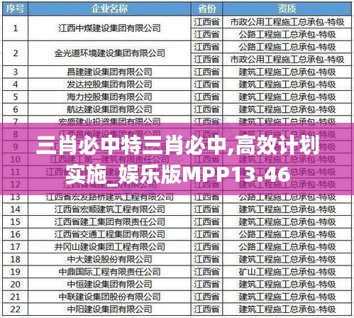 三肖必中特三肖必中,高效計劃實施_娛樂版MPP13.46