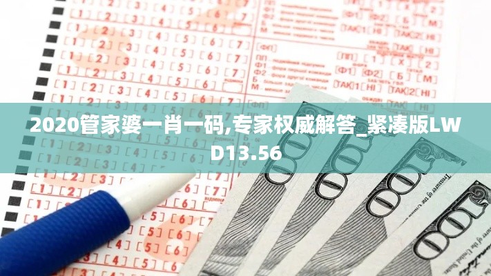 2020管家婆一肖一碼,專家權(quán)威解答_緊湊版LWD13.56