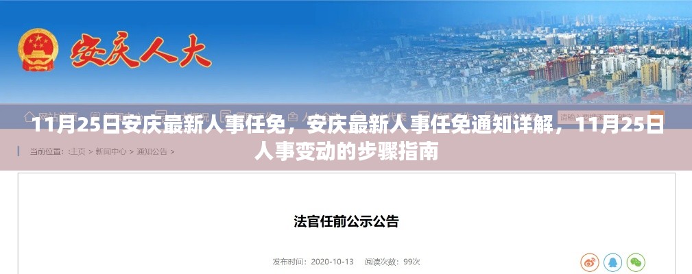 安慶人事任免最新動(dòng)態(tài)，11月25日人事變動(dòng)詳解與步驟指南