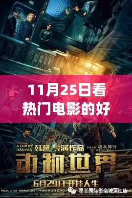 11月25日熱門電影網(wǎng)站之旅，光影中的成長(zhǎng)與自信之源