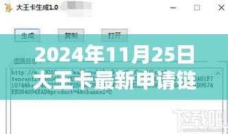 2024年大王卡最新動態(tài)解析與申請鏈接