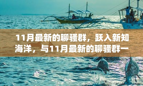 躍入新知海洋，最新聊騷群啟程，自信與成就感的奇妙旅程