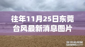 東莞臺風(fēng)最新消息與美景探索，尋找內(nèi)心平靜的旅程