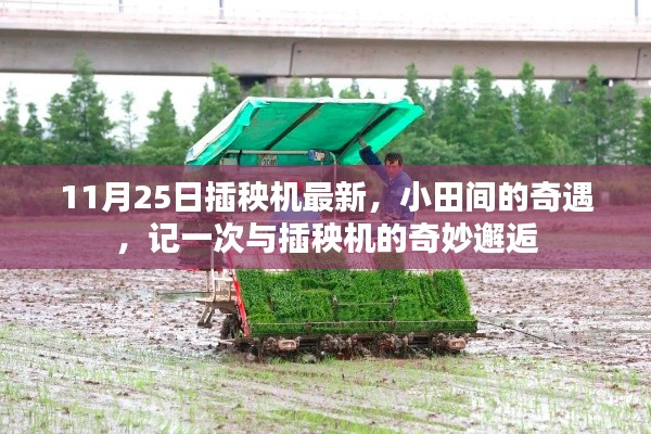 記一次與最新插秧機(jī)的奇妙邂逅，小田間的奇遇