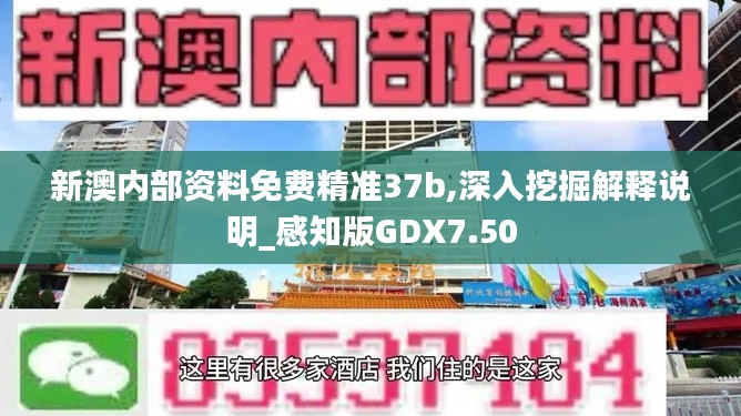 新澳內(nèi)部資料免費(fèi)精準(zhǔn)37b,深入挖掘解釋說明_感知版GDX7.50