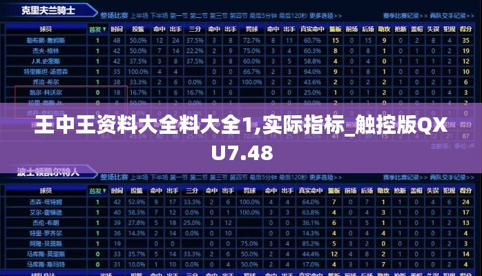 王中王資料大全料大全1,實際指標(biāo)_觸控版QXU7.48