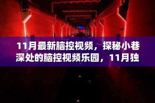 探秘小巷深處的腦控視頻樂(lè)園，獨(dú)家新體驗(yàn)揭秘腦控世界（最新腦控視頻）