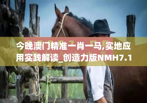 今晚澳門精準一肖一馬,實地應用實踐解讀_創(chuàng)造力版NMH7.1