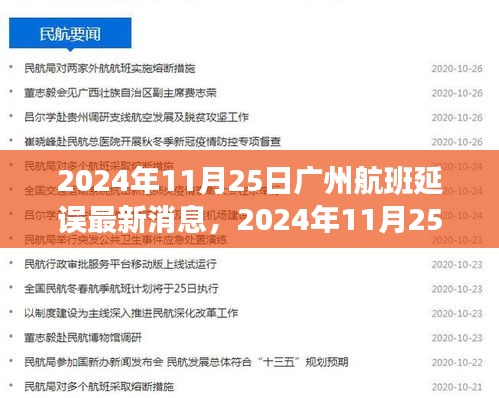 2024年11月25日廣州航班延誤最新消息及應(yīng)對(duì)指南，旅客如何應(yīng)對(duì)延誤情況獲取最新消息