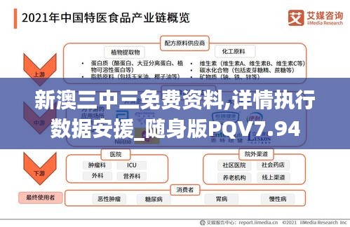 新澳三中三免費資料,詳情執(zhí)行數(shù)據(jù)安援_隨身版PQV7.94