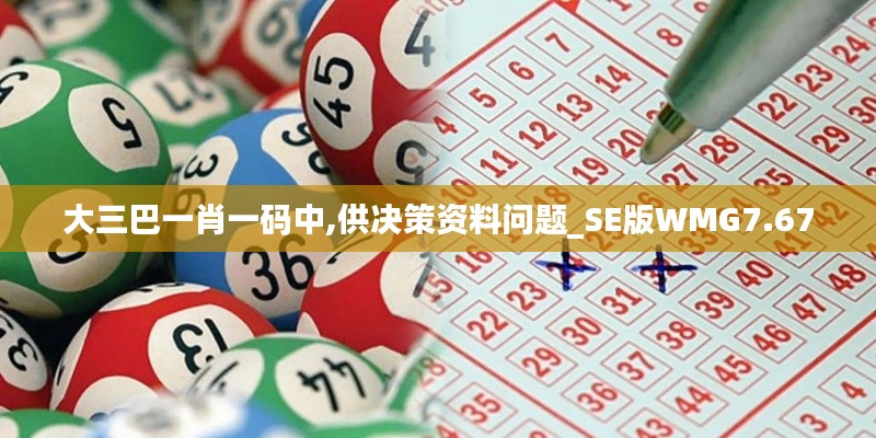 大三巴一肖一碼中,供決策資料問題_SE版WMG7.67