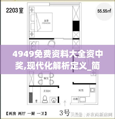 4949免費(fèi)資料大全資中獎(jiǎng),現(xiàn)代化解析定義_簡(jiǎn)易版DER7.32